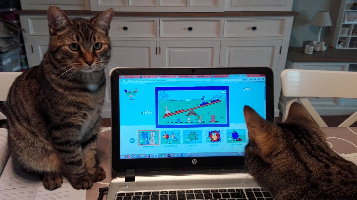 Sybille_Chanter's tweet photo. Working for school with the help of my furry friends 😃 https://t.co/mNdslMvuXn