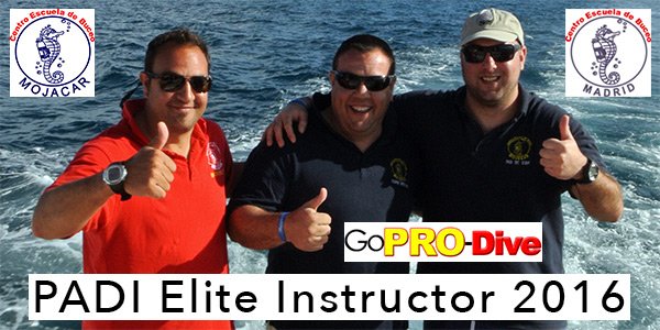 GoPro_Dive's tweet photo. Otro año más todo nuestro equipo formativo es galardonado por PADI con el premio #EliteInstructor. Seguiremos formando buenos instructores.. https://t.co/iZpaqTrj8i