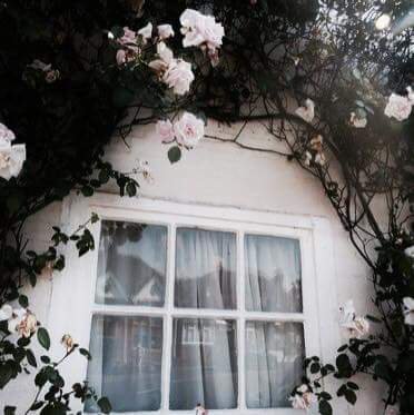 bibleesly's tweet photo. →       
               °
                  ; 이성경 https://t.co/qYJ5QD4La5