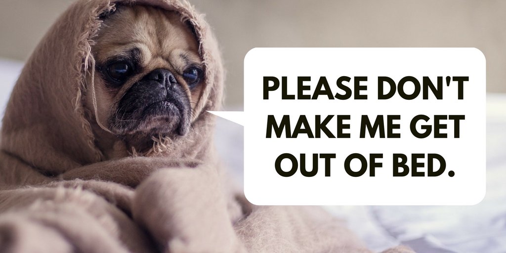 logointros's tweet image. 