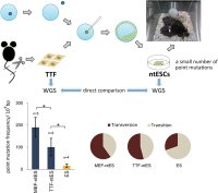 ESC & iPSC News tweet media