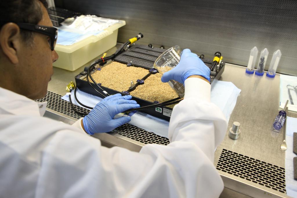 This new plant growth system, soon on <a href="/Space_Station/">International Space Station</a>, will give us more insight into how plants grow in microgravity go.nasa.gov/2mDN5Yr