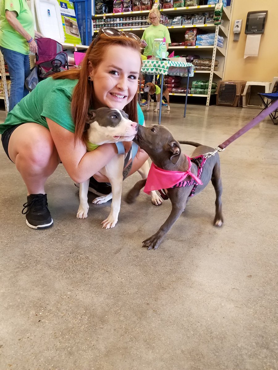 PetSmart LaPlace tweet media