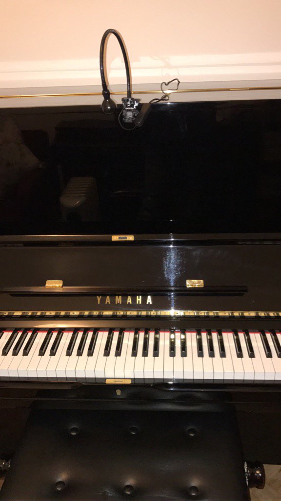 Mateus Baeta (@baetamateus1) on Twitter photo 