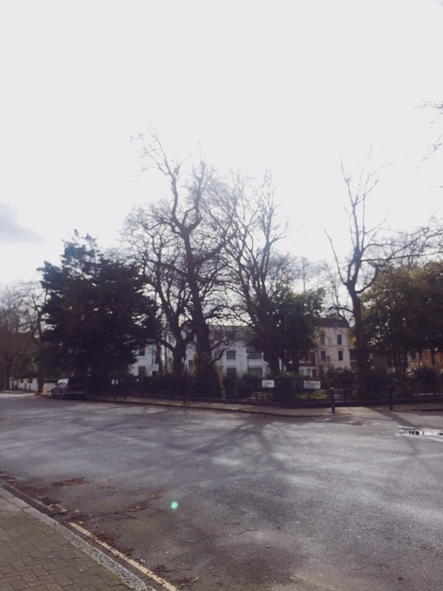 Perpetual Brade tweet media