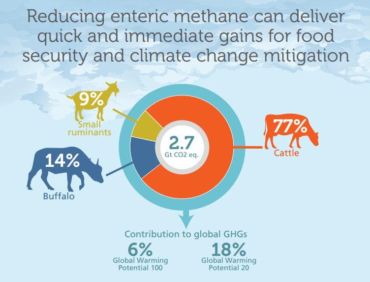 Reducing enteric methane can deliver quick &amp; immediate gains for #foodsecurity &amp; #climatechange mitigation bit.ly/2mTavoK