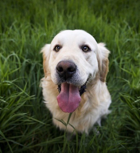 Bank Loyalty Is At All-Time High Among Consumers crwd.fr/2mmUOcg