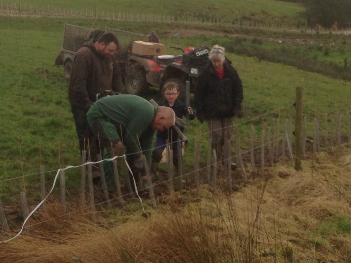 IanPotter007's tweet photo. Just finished planting 900m of new hedging @ Swinscoe with the A Team. Not sure which one is Mad Murdock.The toad was heading for the Pond. https://t.co/PoiPBGnU8H