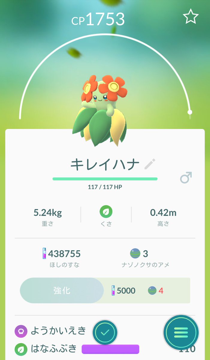 坂元 健太郎 ポケモンgo キレイハナ 坂元 健太郎 ポケモンgo キレイハナ