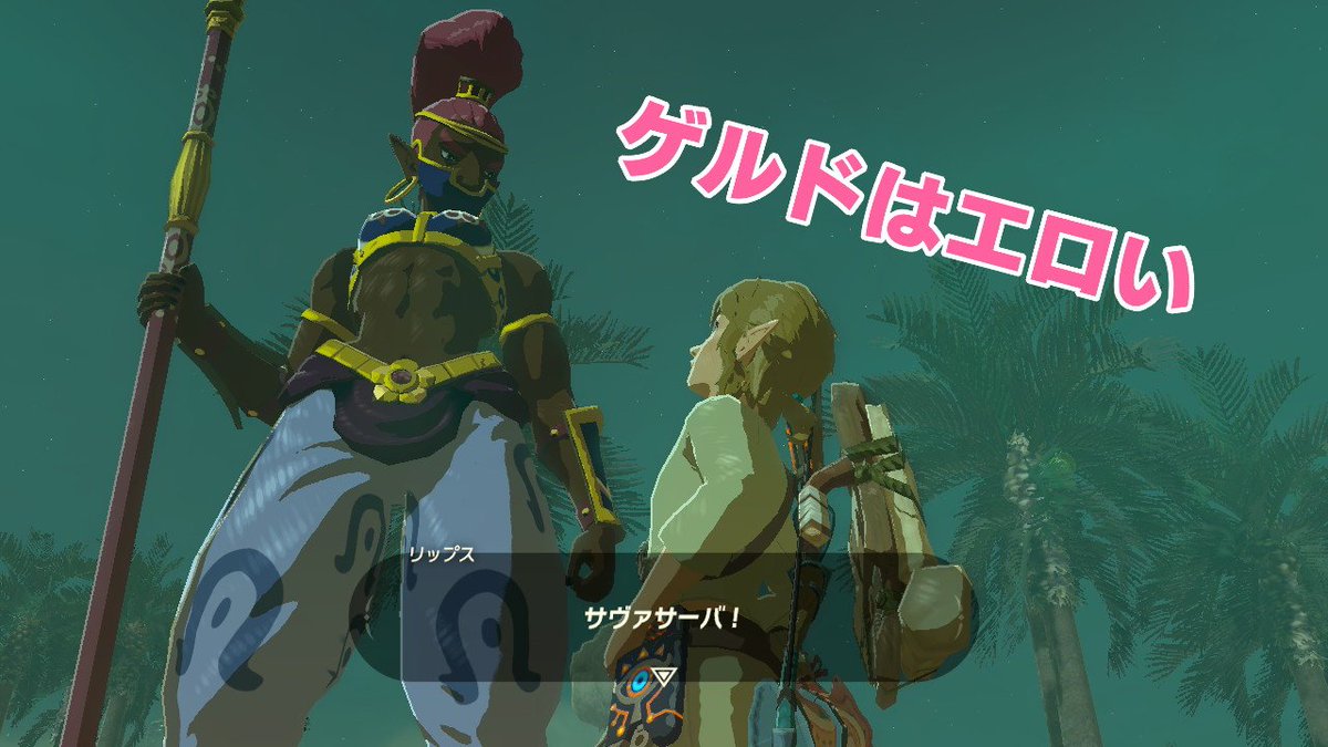 maruponV2's tweet photo. #ゼルダの伝説 #BreathoftheWild #NintendoSwitch https://t.co/RSCKBt9ctQ