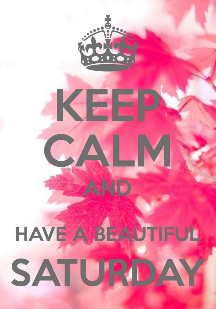 wyldeonion's tweet photo. Rise and shine beauties....bleasings abound...💋💋💋 https://t.co/mrPci9xUPF