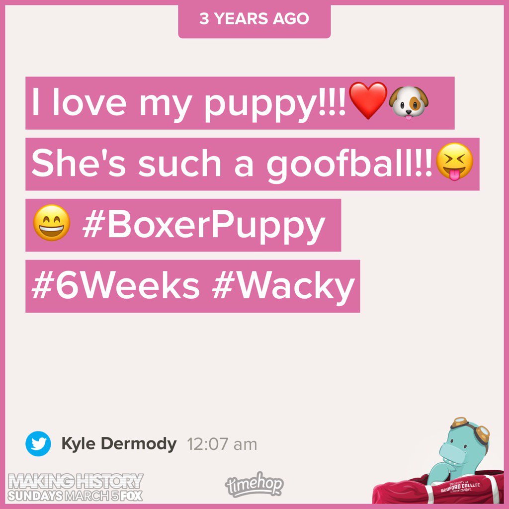 kylekpd's tweet image. I miss her as a puppy