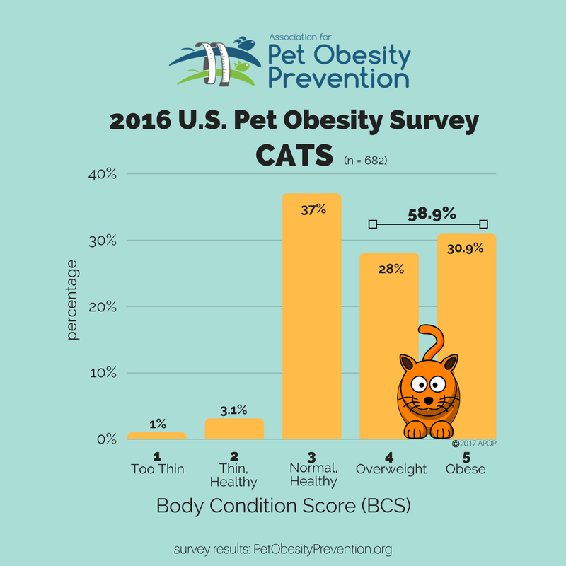 59% of U.S. #Cats now Overweight or Obese #PetObesity #Obesity petobesityprevention.org/2016-u-s-pet-o…