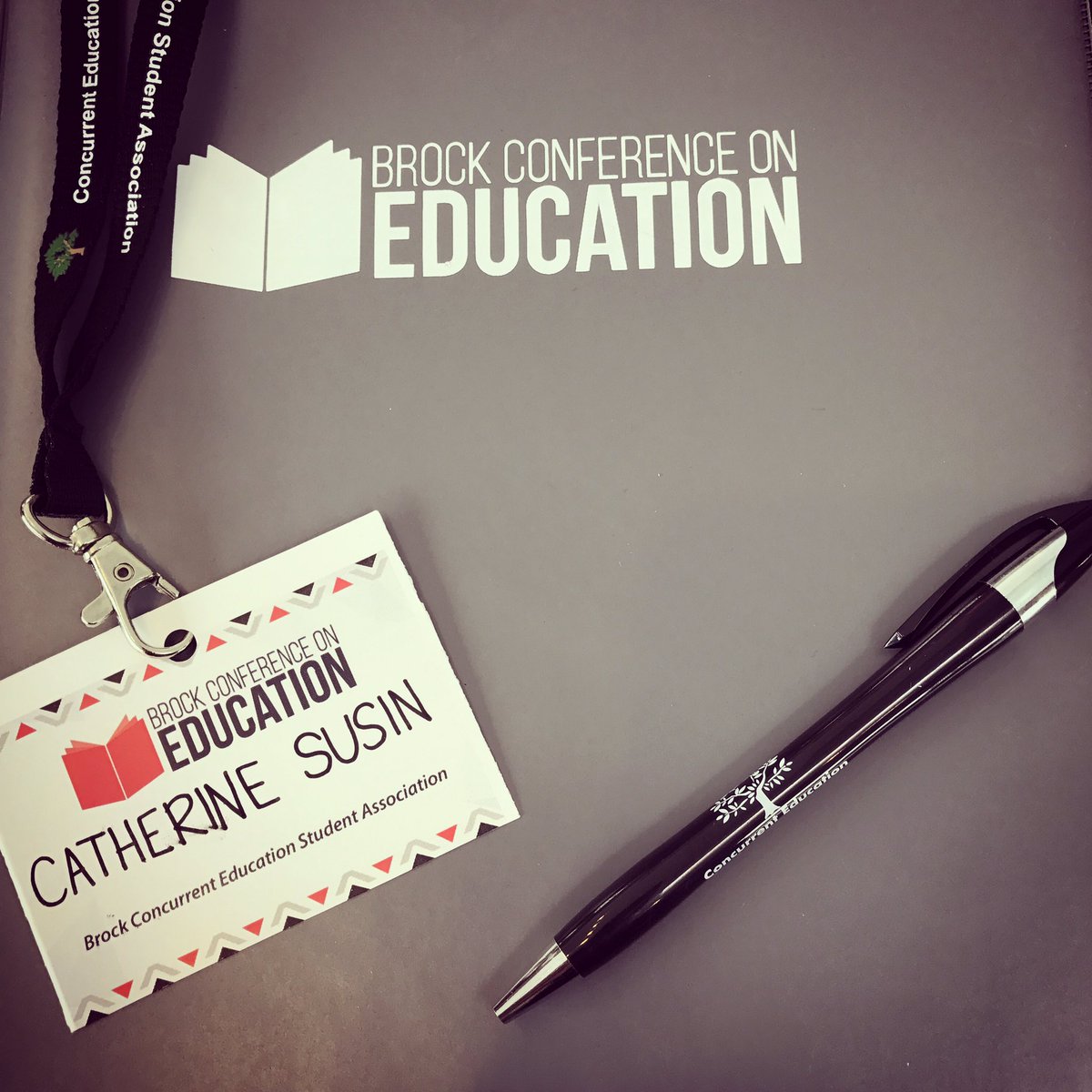Miss_Susin's tweet photo. Always something new to learn 📝📚 @BrockEducation @brockconed #brockconferenceoneducation #professionaldevelopment https://t.co/XzLRad8gaS