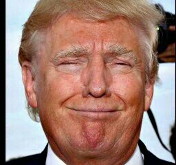 HaggisGeorge's tweet photo. #SRSP #TRUMPKNOWS https://t.co/QCld5QeQ2p