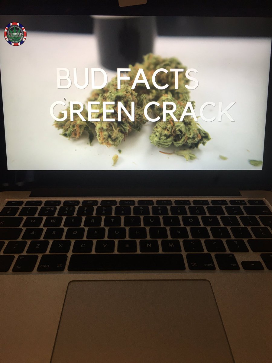 ismokemedia's tweet photo. We've got an exciting new #BudFacts video produced by @lizsmokes out soon on ISMOKE covering everything you need to know about #GreenCrack https://t.co/iAzFbEGDC2
