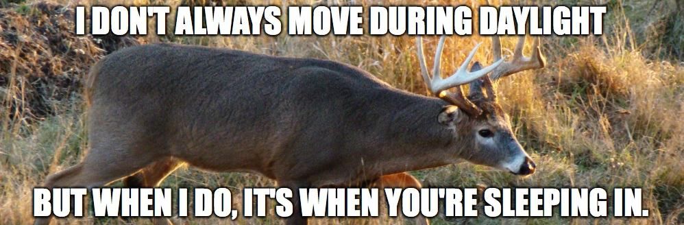 Funny Hunting Memes. #hunting. #huntingmemes. #funnyhuntingmemes. pic.twitt...