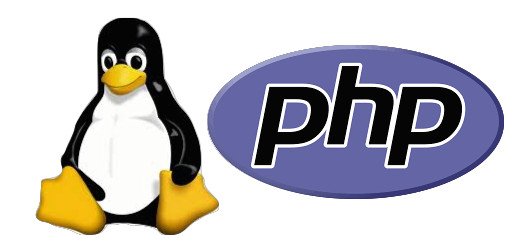 Javascript Stack tweet media