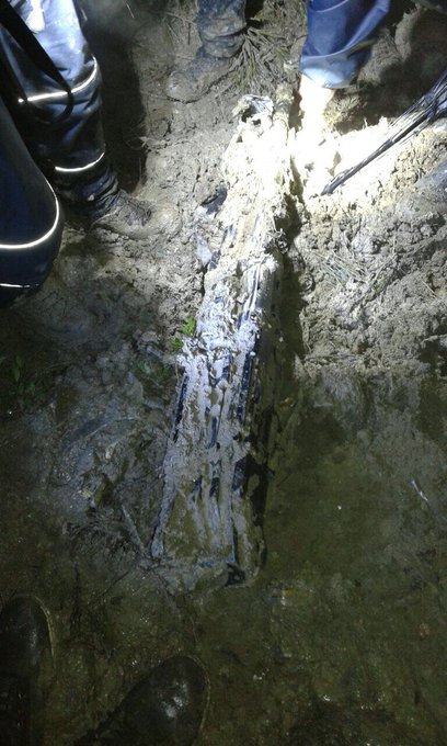 View image on Twitter