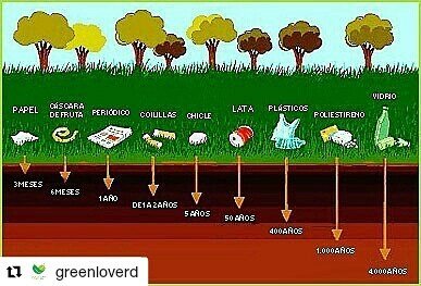 inammired2015's tweet photo. @greenloverd
Los sabias??
#PiensaVerde
#MeridaVerde https://t.co/ymvRQZFI3q