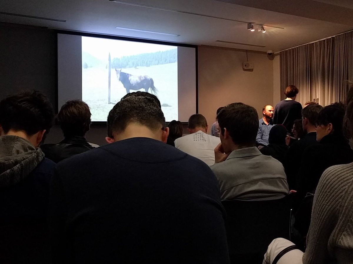 fotofill's tweet photo. I am in the photographers' gallery for a talk. There is a video of a horse. Possibly gif. Gif the horse. https://t.co/zwEjLyUjTE