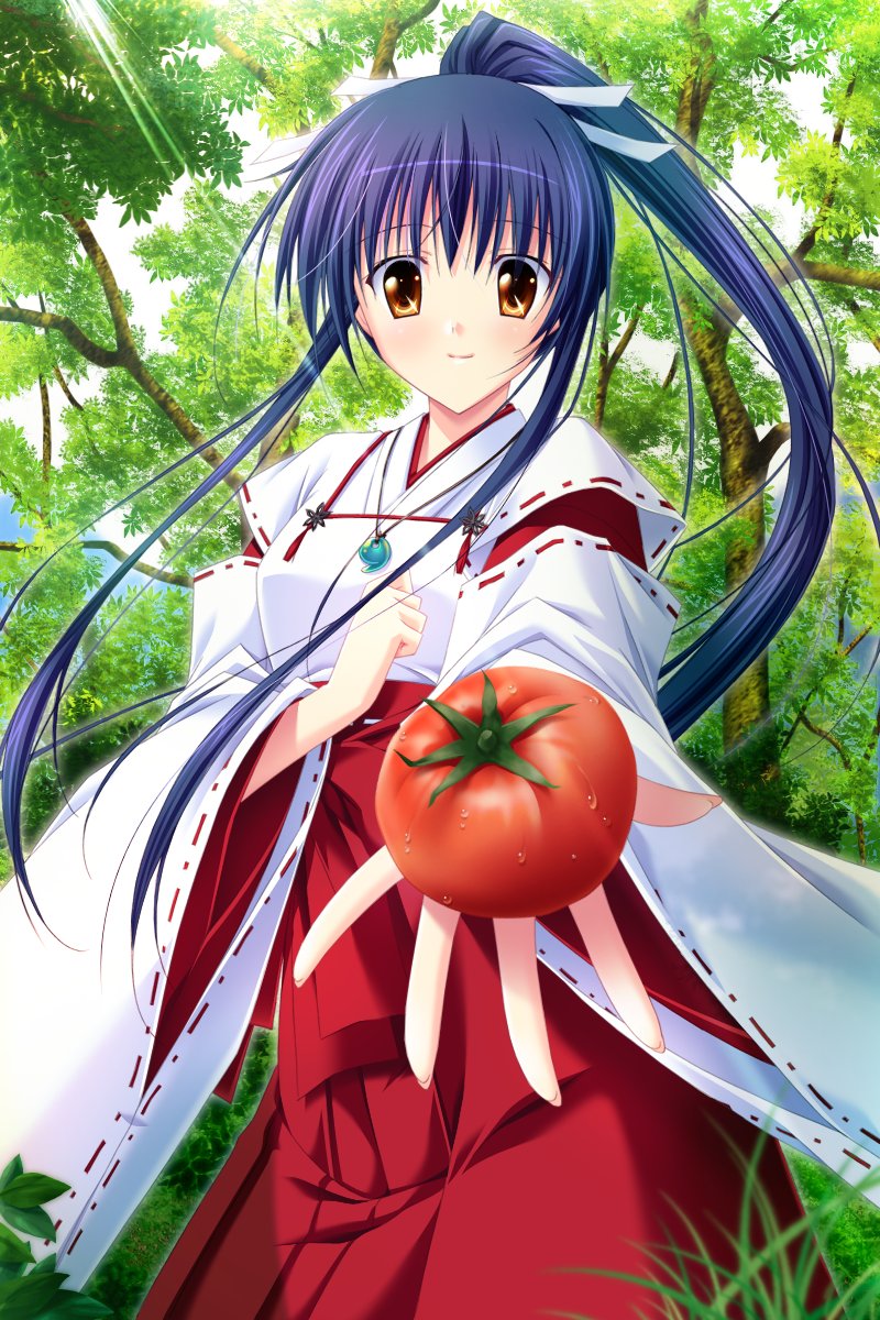 Izumo アマテラス A Twitter 巫女さん100選 055 天戸 沙織 さらさらささら Izumo アマテラス A Twitter 巫女さん100選 055 天戸 沙織 さらさらささら