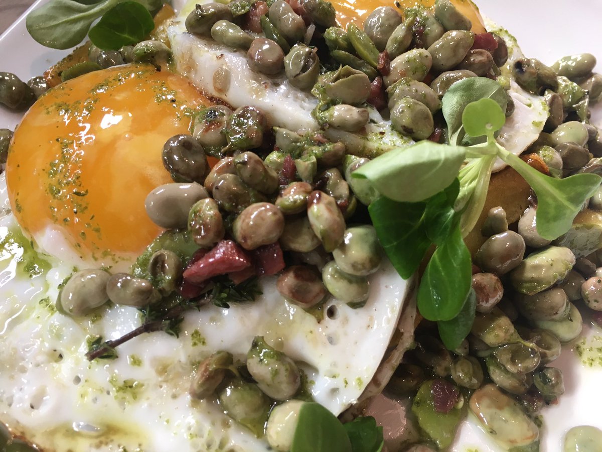 Habitas frescas con huevo de oca en <a href="/LaEscondida_Sev/">La Escondida</a> #muyrico #gastrobar #habitas