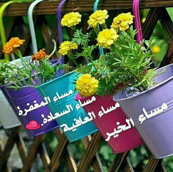 💙عاشقة الحسين -💔 (@alimaged123441) on Twitter photo 2017-03-04 15:59:46