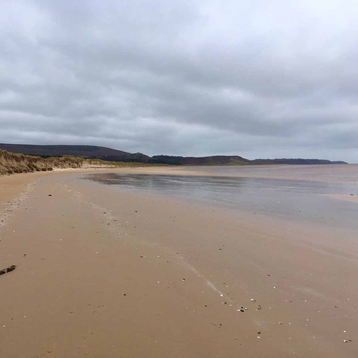 Breezy but beautiful on Whiteford Sands and Burrows near Llanmadoc, #Gower today. #Swansea #Wales