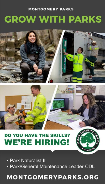 MontgomeryParks's tweet photo. We are hiring! Check out our current job openings: https://t.co/J9kg4K7htb! #GrowWithParks https://t.co/JomzD10pEw