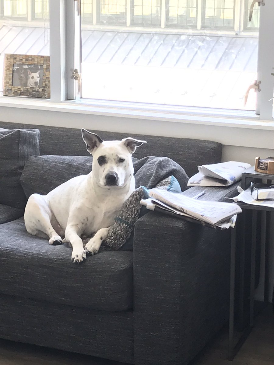 TorcheTalk's tweet photo. Are you done with the crossword? https://t.co/s4hCPXTxVh