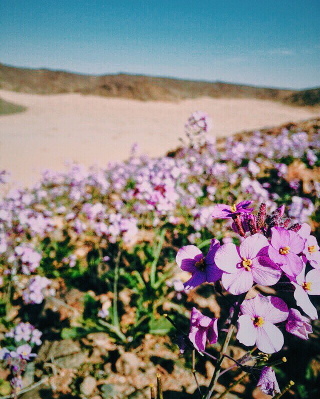 4krah's tweet photo. قطرة من بحر .. 

 #افضل_صوره_قمت_بتصويرها https://t.co/YHTBX6LhuK