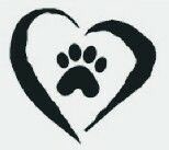 O news sadly, still searching #elrig #glenluce #Dumfries