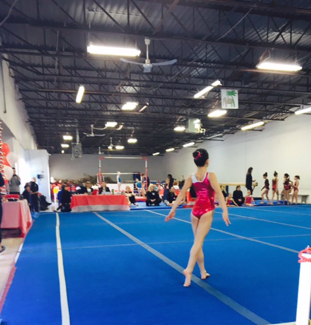 ASFGymnastics's tweet photo. Our #redandwhiteinvitational is in full swing! Great #gymnastics #RichmondHill. A pleasure to host. https://t.co/Q65I353yl7