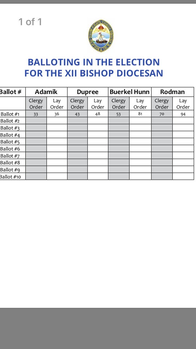 j_d_franklin's tweet photo. Ballot 1! #DioNCElection #dionc https://t.co/E1TK5jCJax