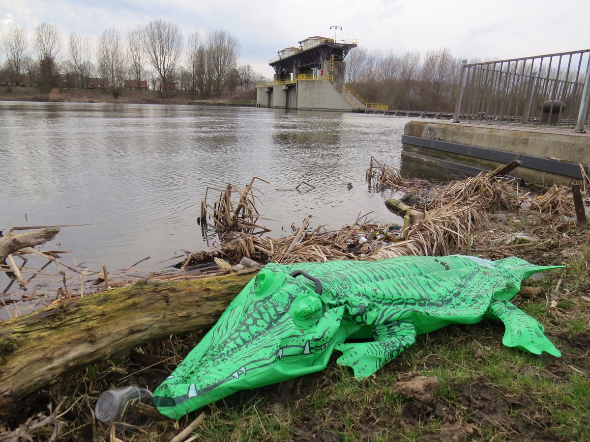 nsknsd's tweet photo. 🆘656 plastic bierbekers geschept bij 800 m havenoever #roermond! @SchoneMaas @VitaleGroenStad @zwerfie @plasticfreeriv https://t.co/x3AuZ4GTkk