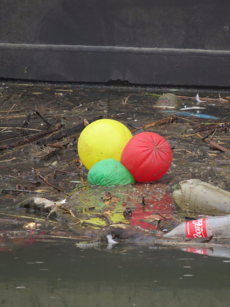 🆘656 plastic bierbekers geschept bij 800 m havenoever #roermond! <a href="/SchoneMaas/">SchoneMaas</a> @VitaleGroenStad <a href="/zwerfie/">zwerfie</a> <a href="/plasticfreeriv/">Plastic Free Rivers</a>