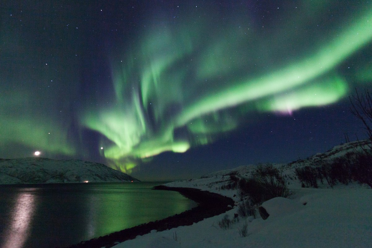 TriciaArmitage's tweet photo. Simply amazing week in Norway ... and we saw this! #articnorway #northernlights #guidegunnar https://t.co/0xn1vIp0RY