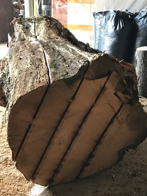 ROCwoodturner's tweet photo. Preparing Irish Horse Chestnut #timber from trunk to be used for making #bowls #lamps #platters #gifts #presentationpieces @visitwexford https://t.co/5UOFgBfmzC