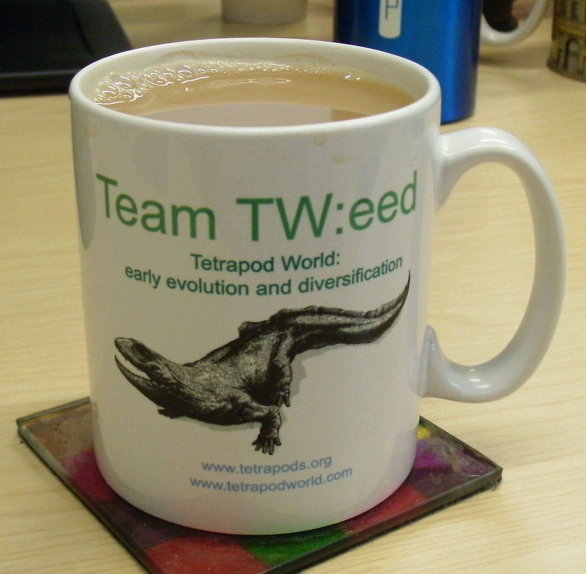 TetrapodWorld's tweet photo. The TW:eed Project comes to an end... but the team lives on!  https://t.co/TvfoPHl05J Thank you to all our followers who have supported us! https://t.co/X99ijXc4qX