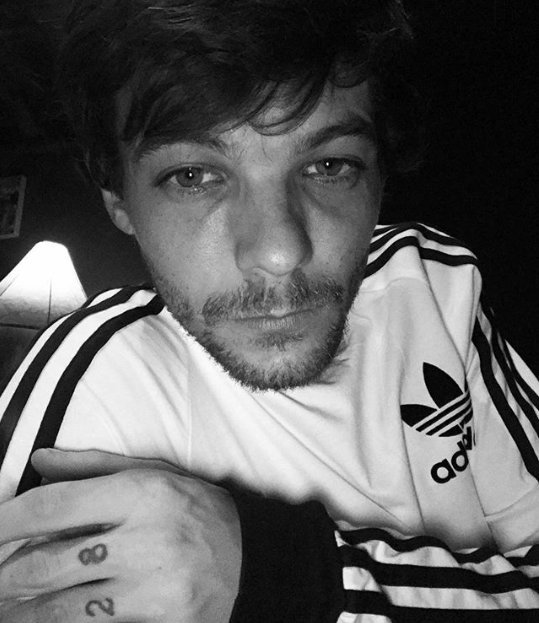 Fatima5Bisma's tweet photo. We know he can't  do anything without any reason...#WeSupportlouis  #WeLoveYouLouisNoMatterWhat #StaySafeLouis...😙 https://t.co/6HZTeUYL35