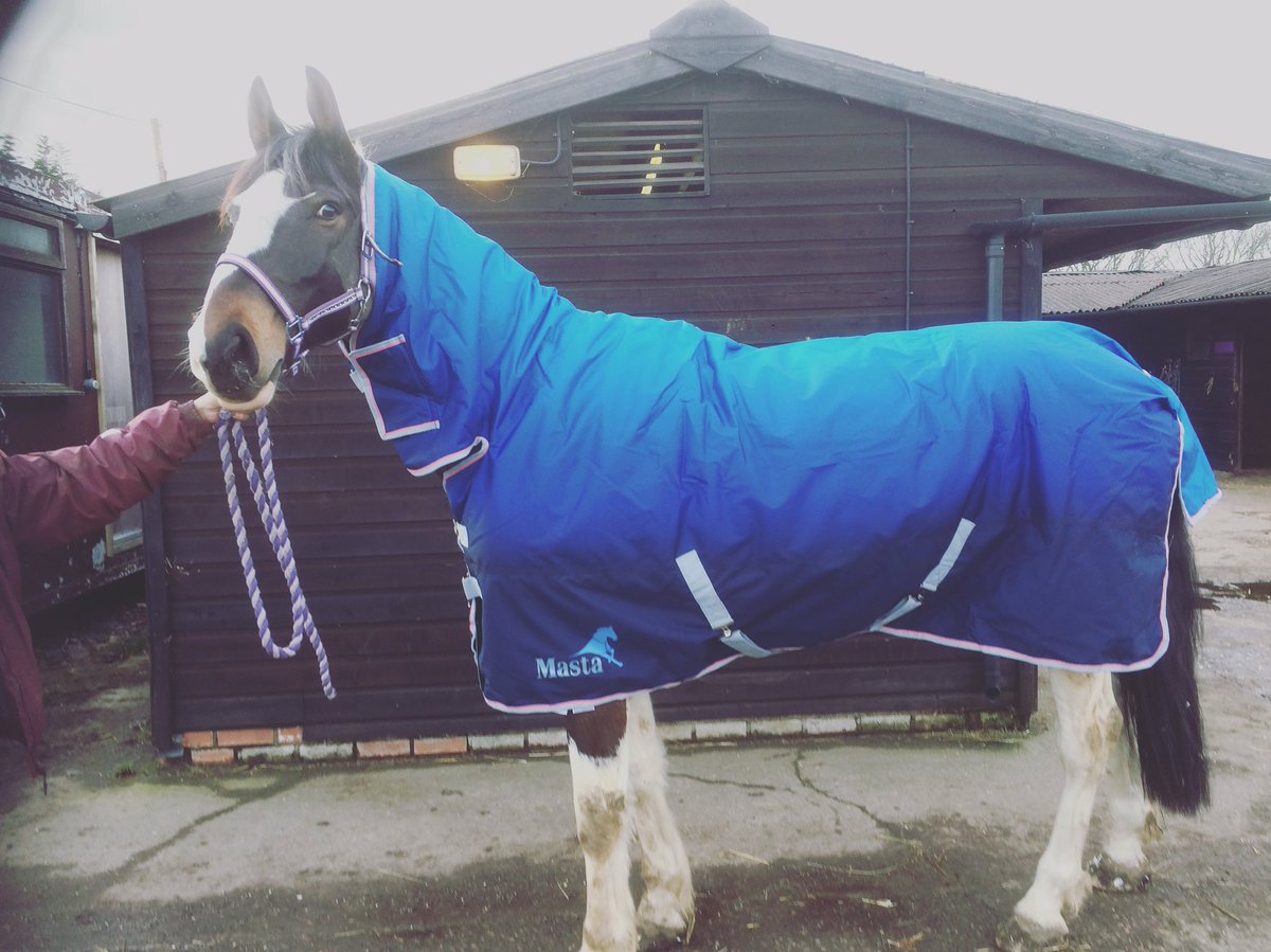 COSaddlery's tweet photo. @mastarugs #looksamazing #rug #masta https://t.co/3HoK9CwgfU