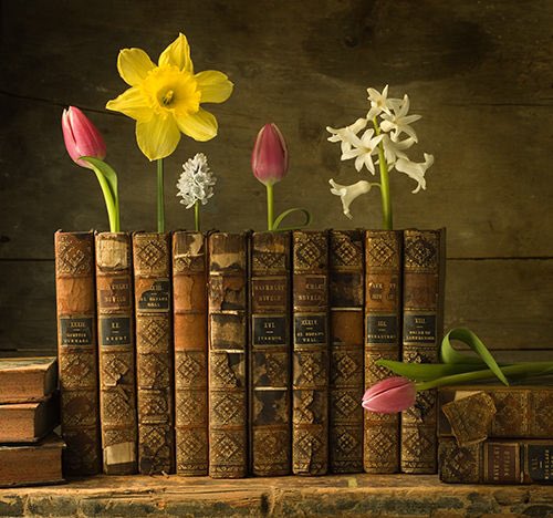 Book Cellar tweet media