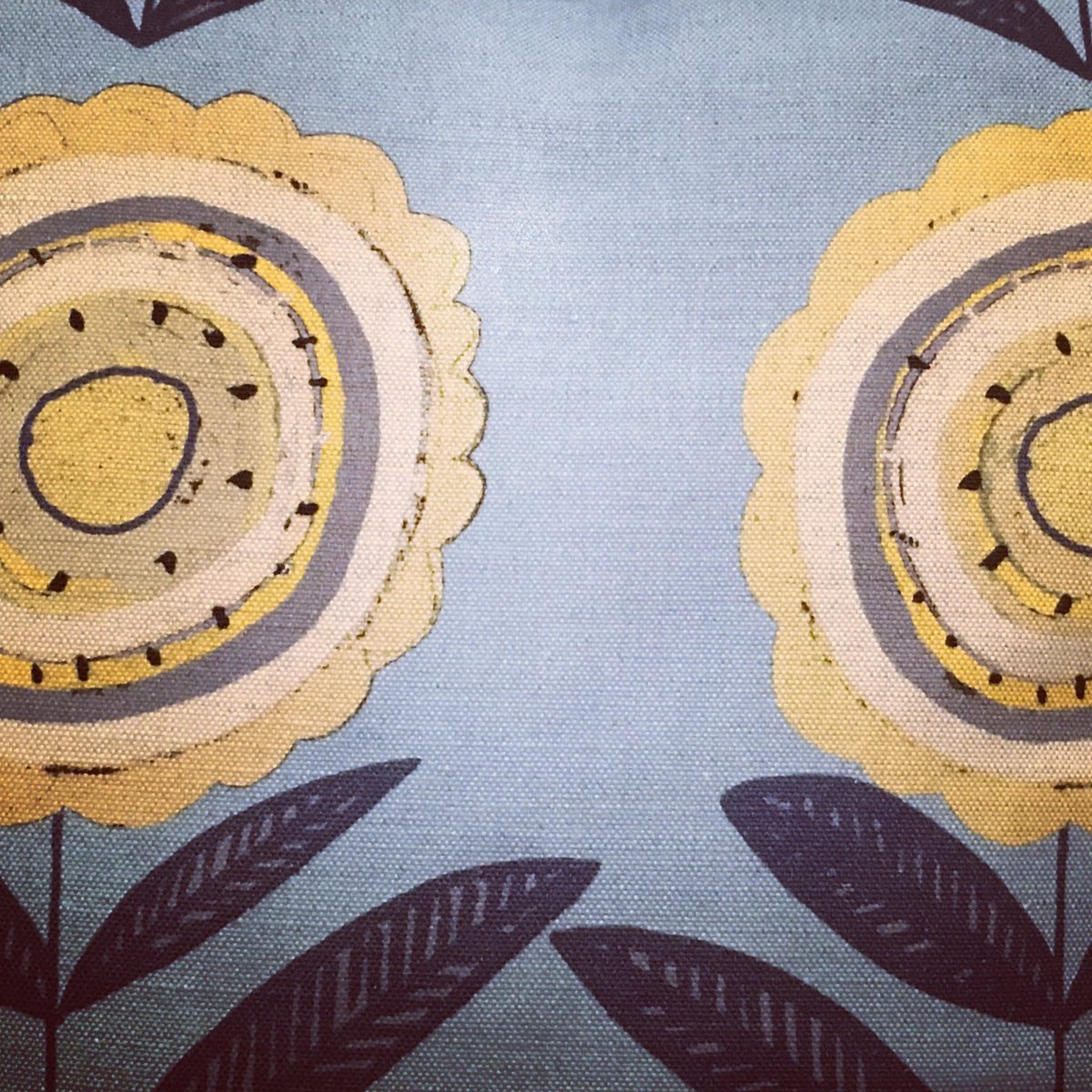 linghouseanmer's tweet photo. Annabel Grey cushions from a shopping trip to Holt today #linghouse #interiors #norfolkB&amp;B #holt #shoplocal https://t.co/fOnIYeRS2I