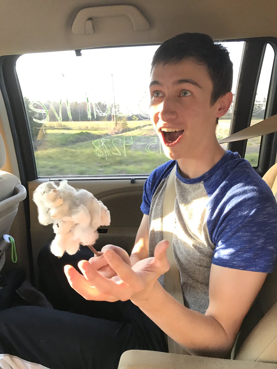 5_is_drive's tweet photo. "Wait this is why it's called cotton candy!" https://t.co/FmCnbqSg63