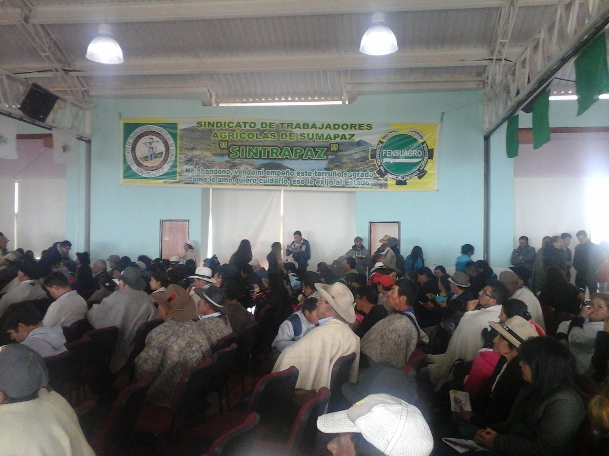 ARCADUDA Vive tweet media