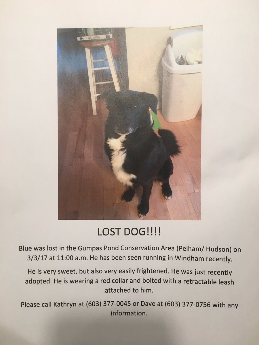 A nice lady came to my house looking for her dog today, please share this with ur friends so we can help this family reunite with their pup!