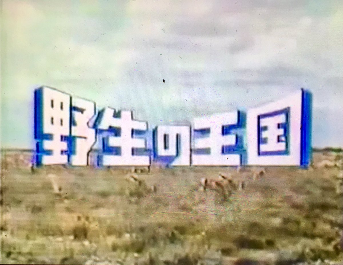 توییتر オダブツのジョー در توییتر 昭和なテレビ 95 野生の王国 Mbs 63 12 12 90 9 21 アフリカの猛獣からニホンザルに至るまで 世界各地の動物の知られざる生態や秘密などを専門家の解説を交えて わかりやすく紹介した 動物ドキュメンタリー番組の