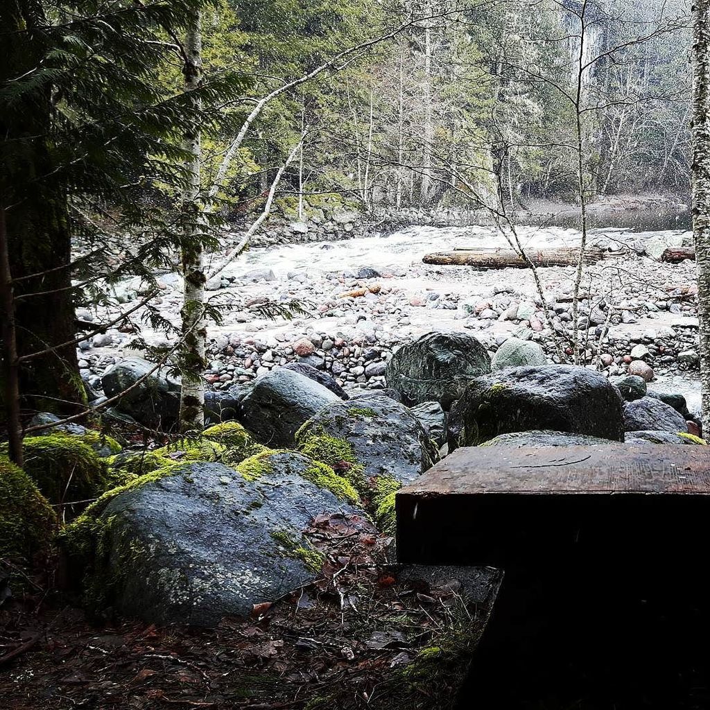 Magical scenery today at Sunwolf... river rushing by, vegetation awaiting spring and snowf… ift.tt/2m6IgE1