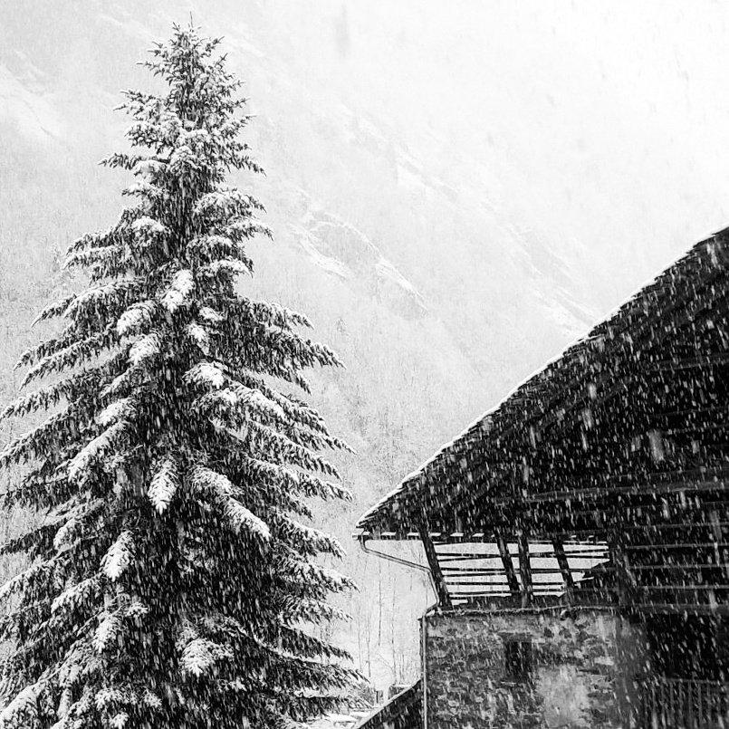 March snow! Still winter
#alagnafreerideparadise #alagna #monterosaski #monterosa